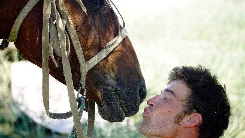 A rider kisses his Kazakh horse on the lips.