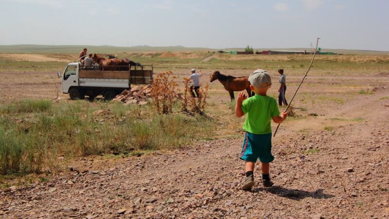 A little boy holding a stick looks at horses being loaded into a truck.