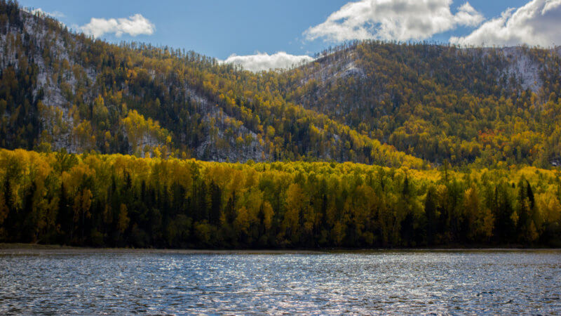 Autumn forests covered in light snow next to the Yenisei River.