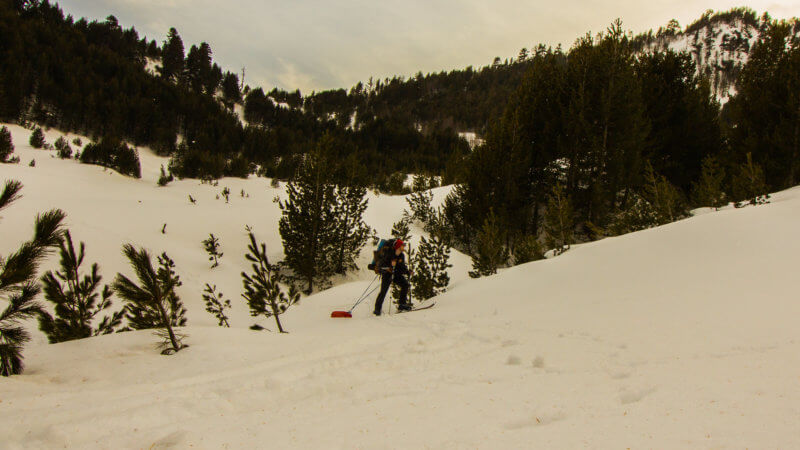 Skier ascending up hill through a forest.