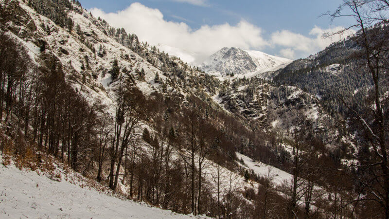 A steep mountain valley covered in snow and pine trees.