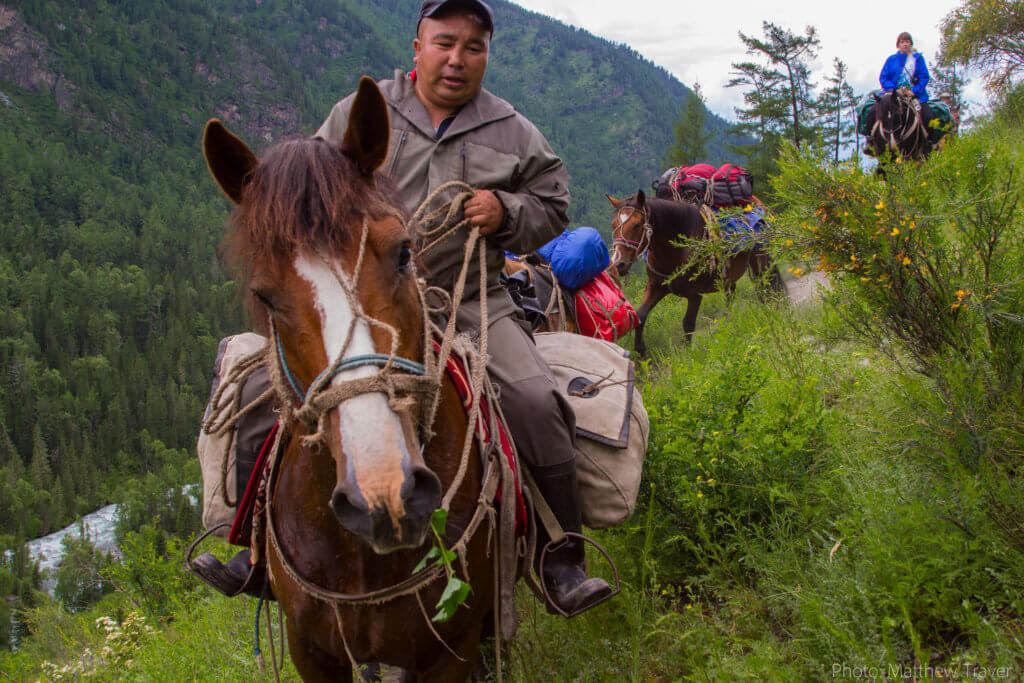 An Altai horseman wearing khaki clothing rides past the camera as his horse chews leaves.