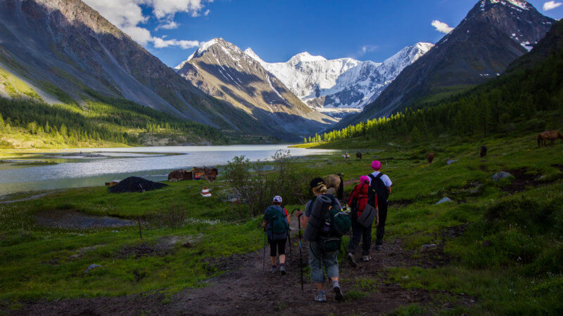 A group of hikers walk into a lush and green alpine meadow beneath Mount Belukha.