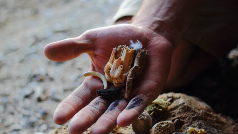 An open palm holding a cluster of bones, firewood and charcoal left behind by ancient Pamir Mountains hunters.